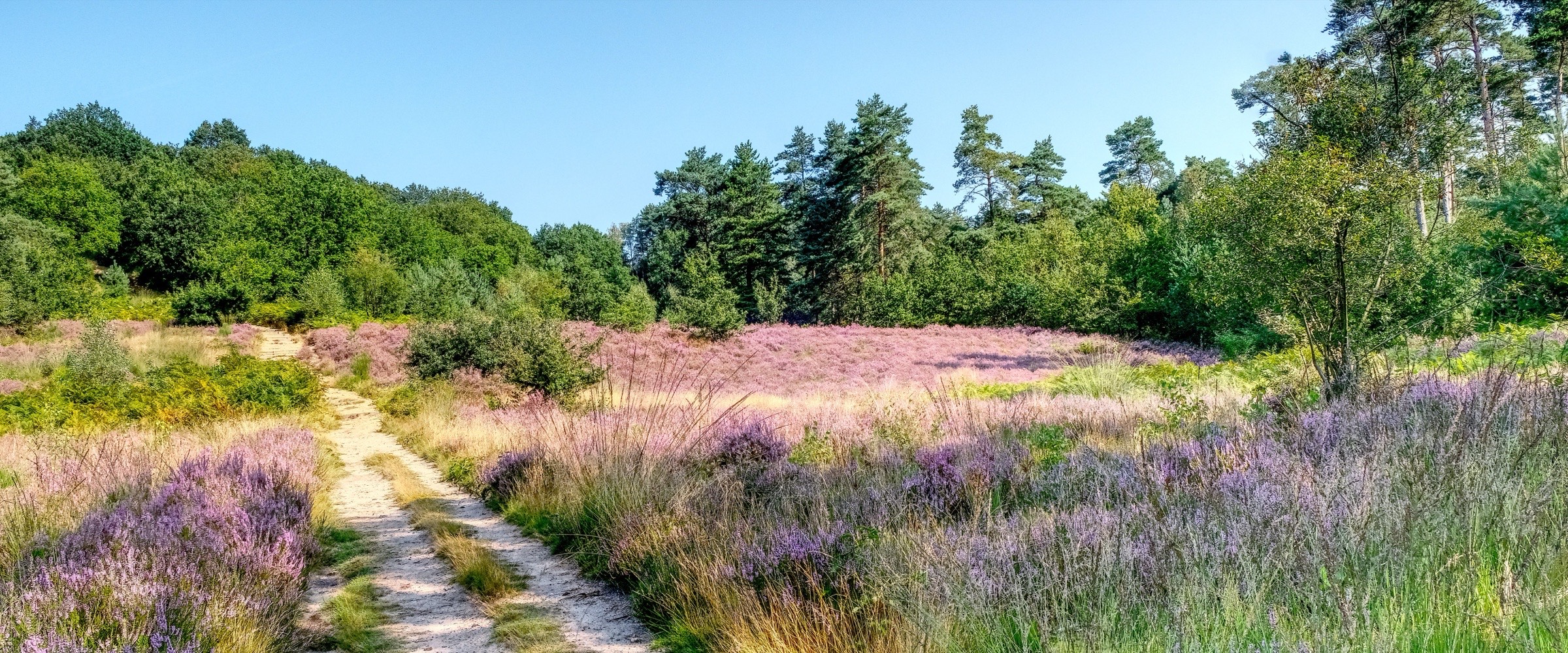 Campine, België