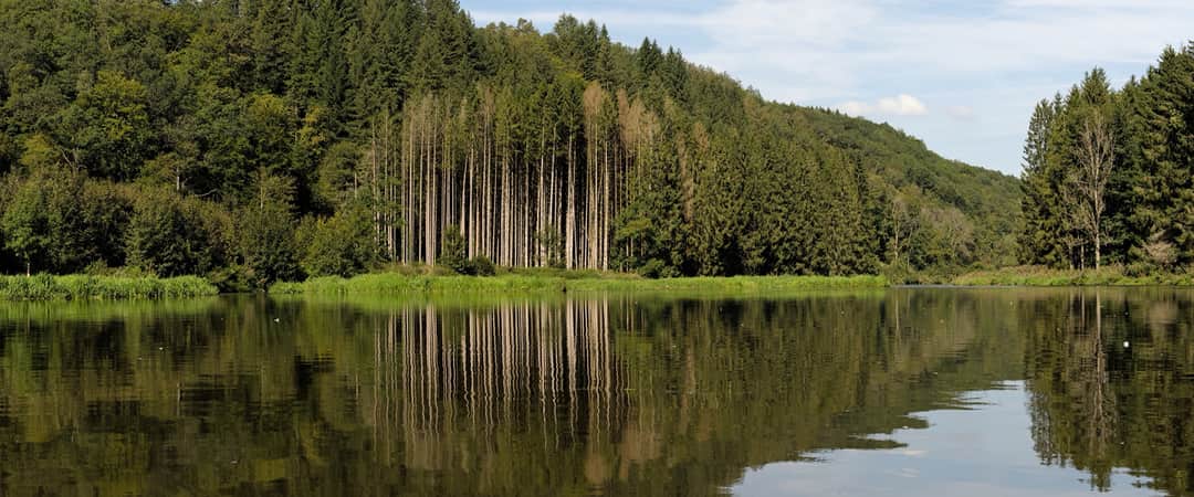 Rivière sinueuse dans la verte vallée de la Semois