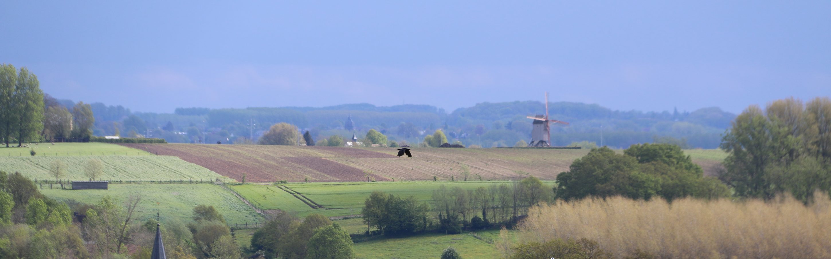 Ardennes flamandes, België